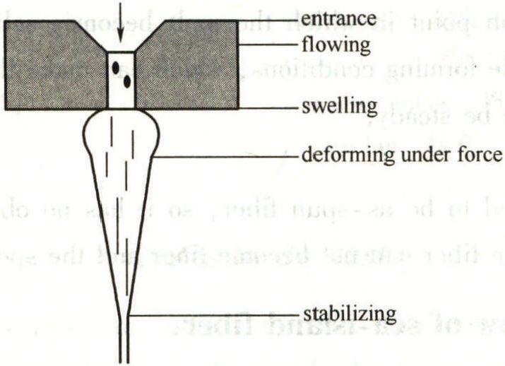 Lesson 2 The manufacturing principle and process flow of sea-island fiber